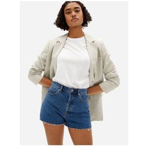 Mid Wash New Blue Everlane The Cheeky Short High Waisted Denim Cut Off Shorts 28